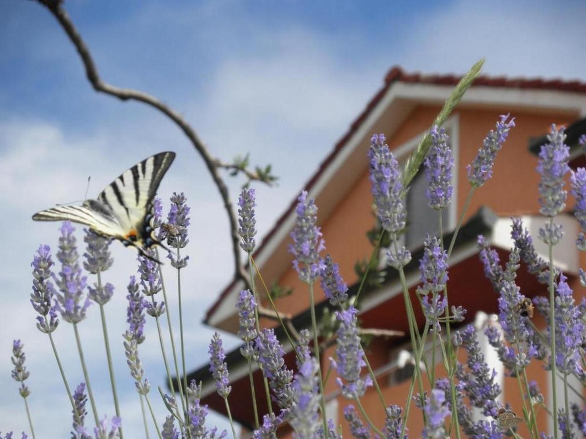 Apartments Matija Kampor Εξωτερικό φωτογραφία